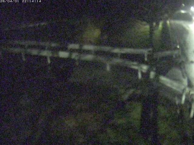 取得できませんでした