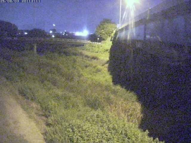 取得できませんでした