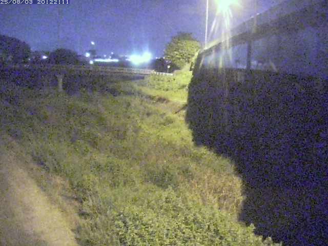 取得できませんでした