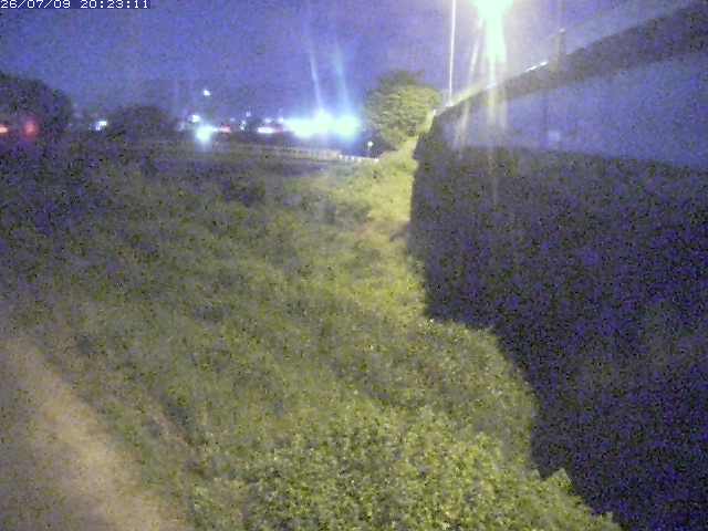 取得できませんでした