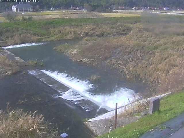 取得できませんでした