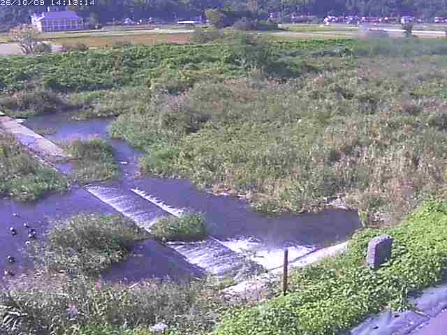 取得できませんでした