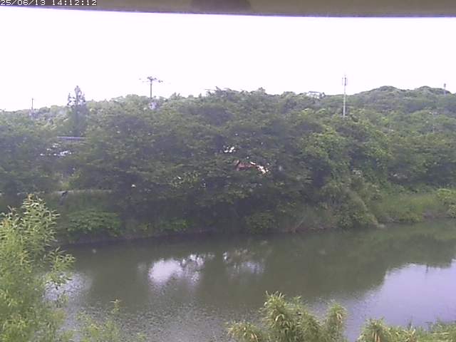 取得できませんでした
