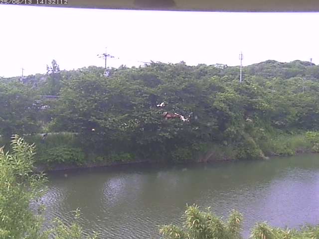 取得できませんでした
