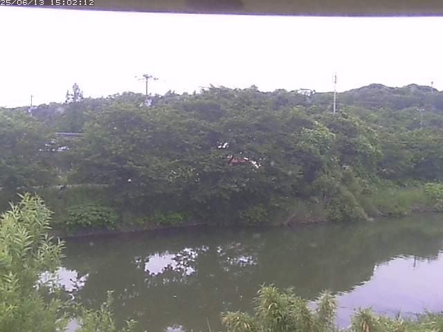 取得できませんでした