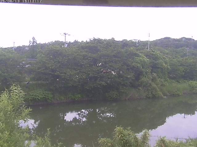 取得できませんでした