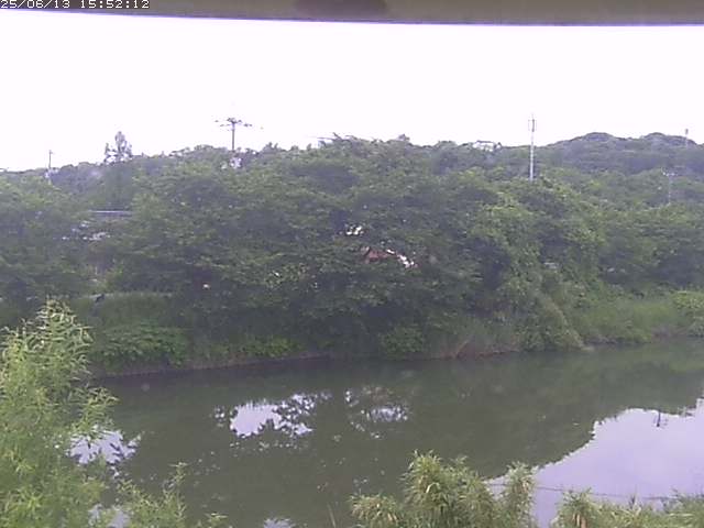 取得できませんでした