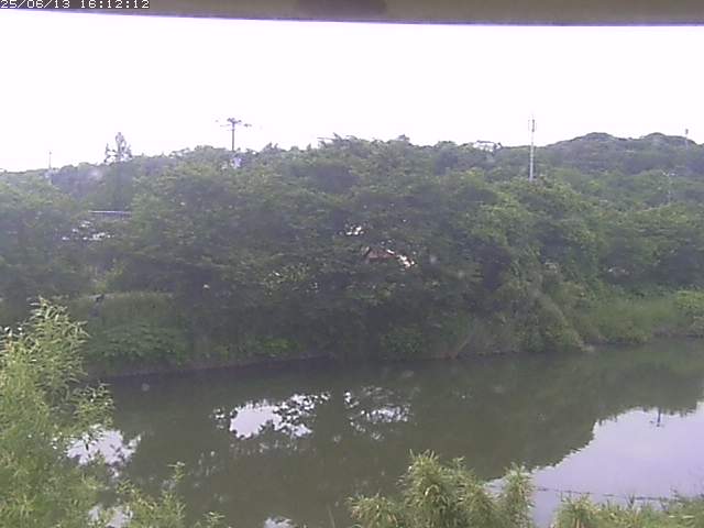 取得できませんでした