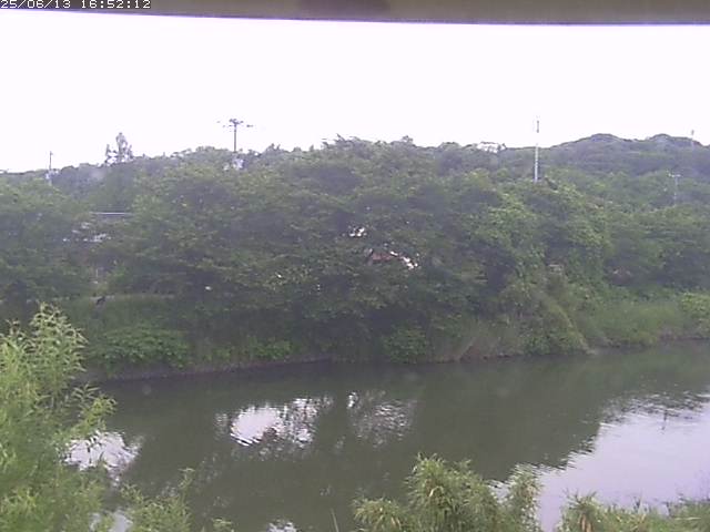 取得できませんでした