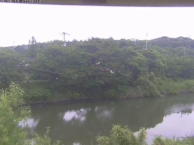 取得できませんでした