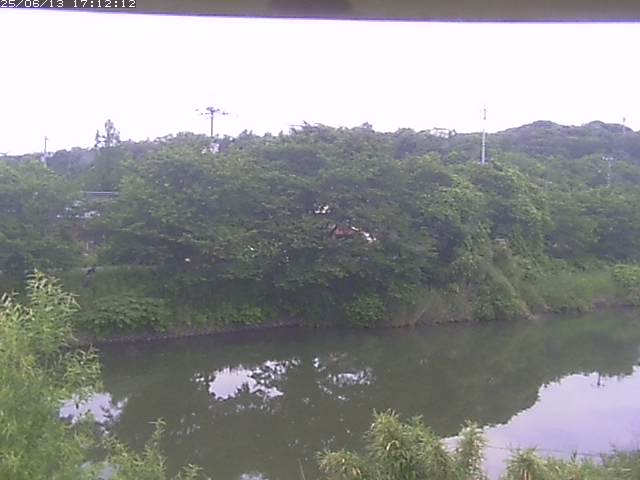 取得できませんでした
