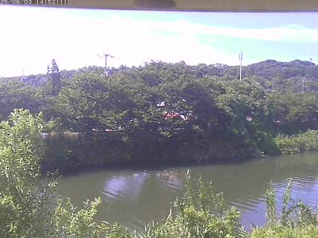 取得できませんでした