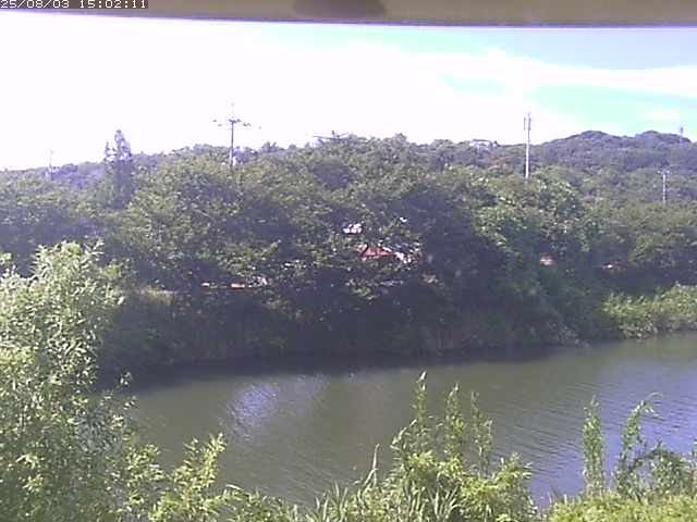 取得できませんでした