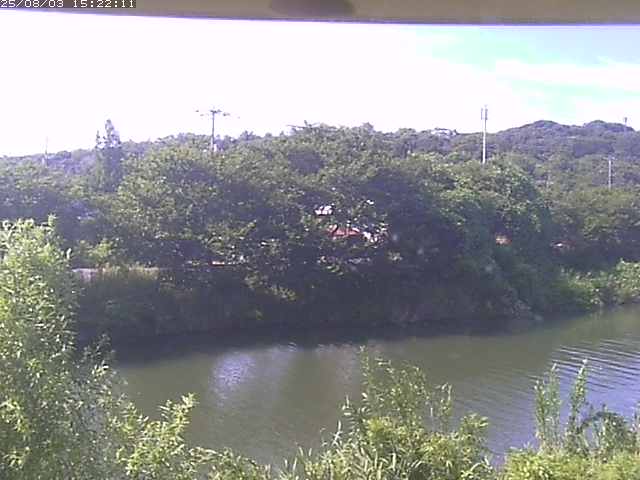 取得できませんでした