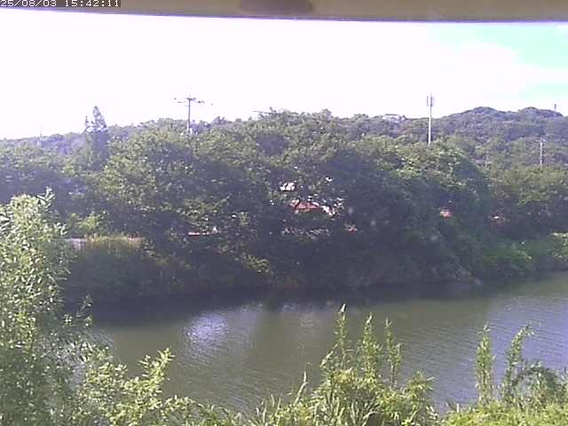 取得できませんでした