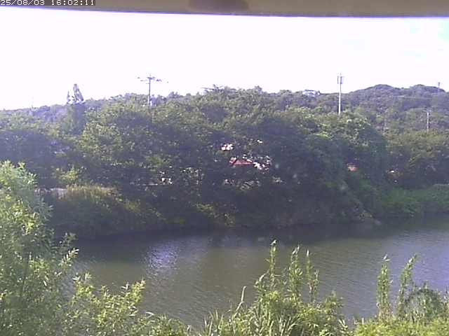 取得できませんでした