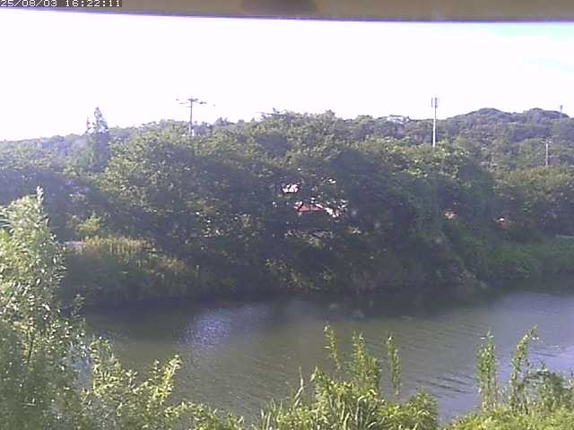 取得できませんでした