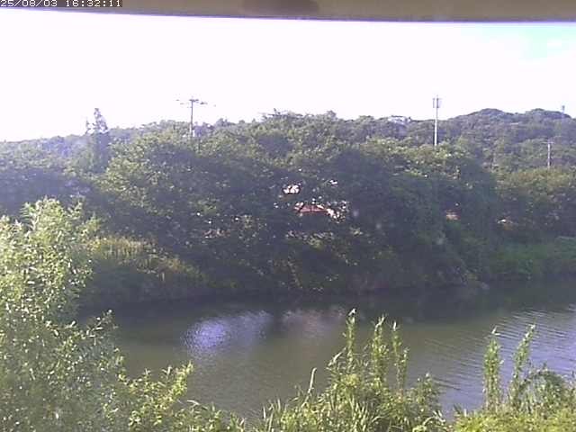 取得できませんでした