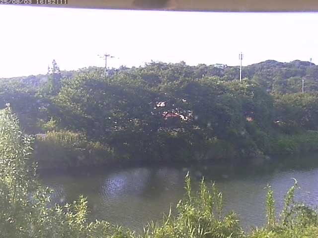 取得できませんでした