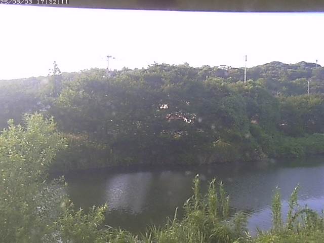 取得できませんでした