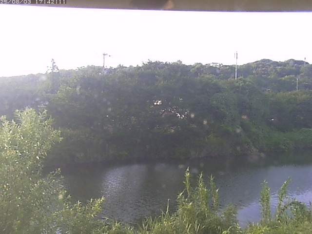 取得できませんでした