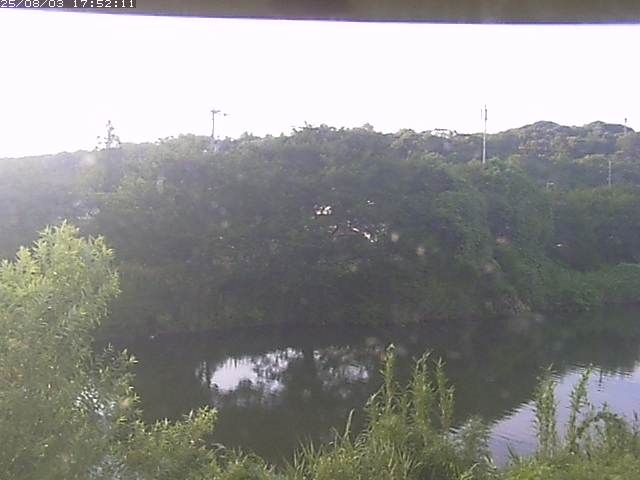 取得できませんでした