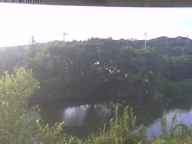 取得できませんでした