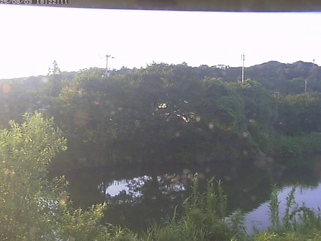 取得できませんでした