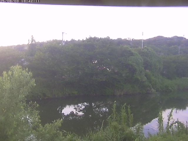 取得できませんでした