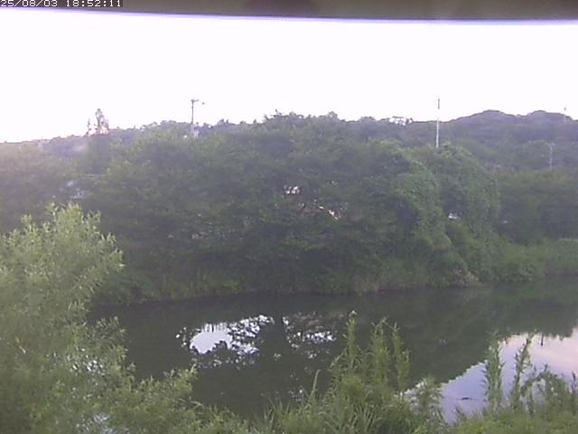 取得できませんでした