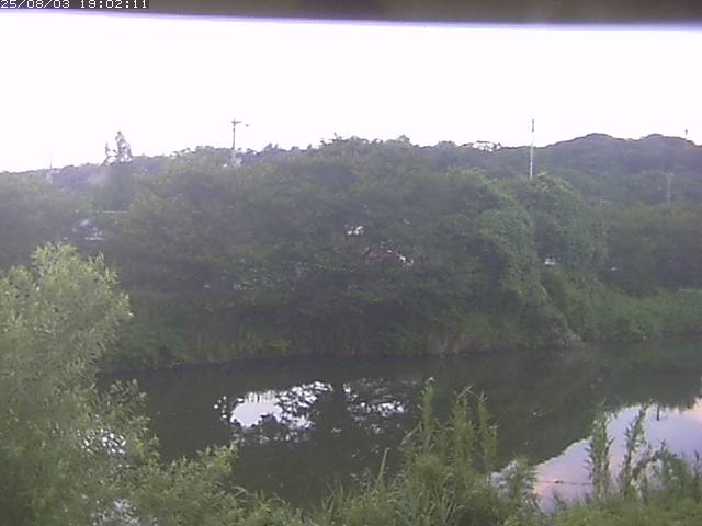 取得できませんでした