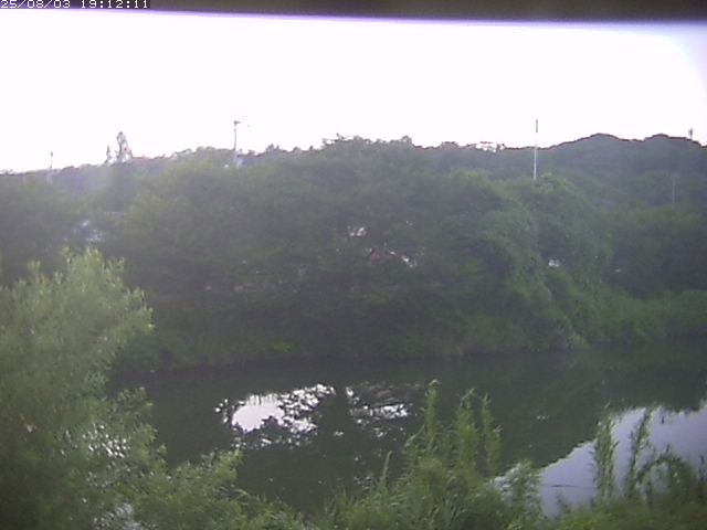 取得できませんでした