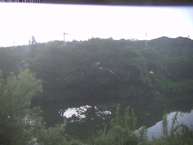 取得できませんでした
