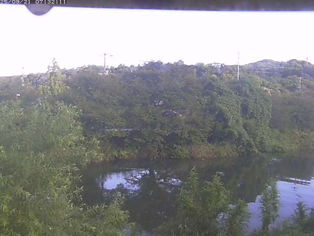 取得できませんでした