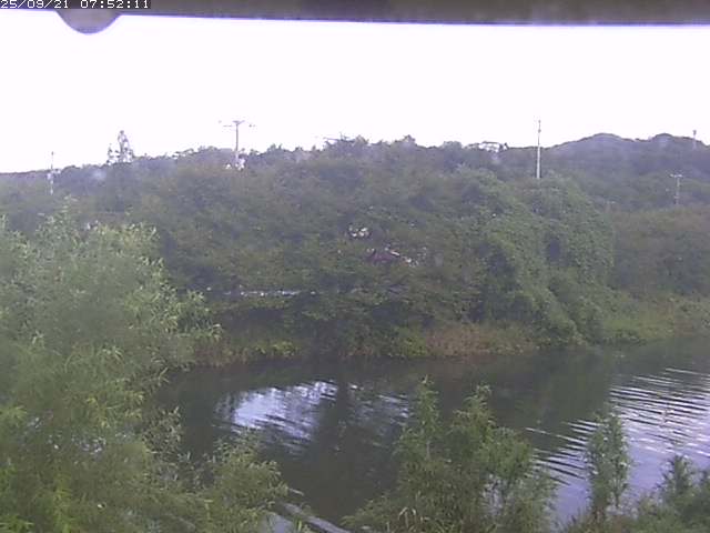 取得できませんでした