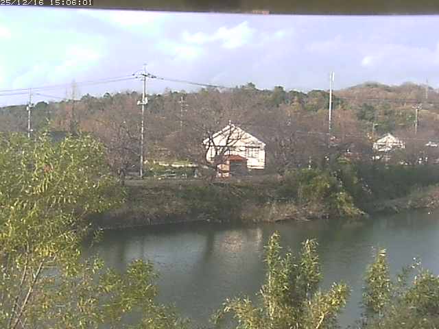 取得できませんでした