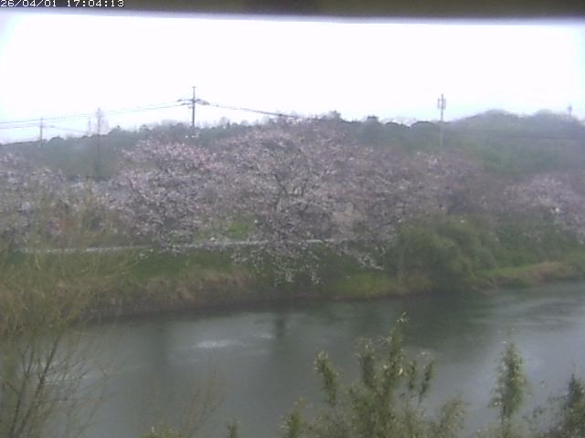 取得できませんでした