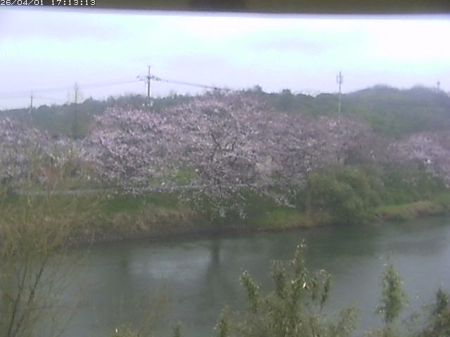 取得できませんでした