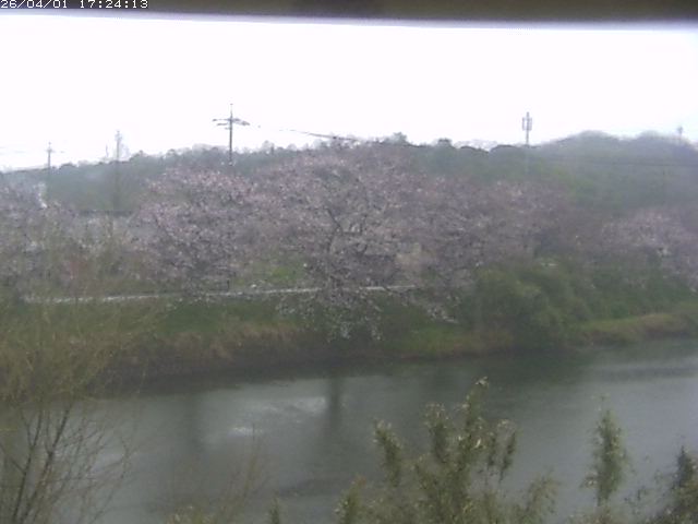 取得できませんでした