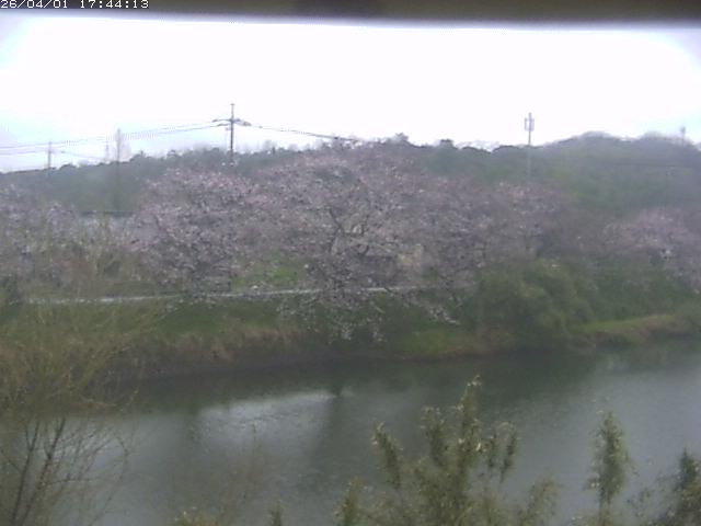 取得できませんでした