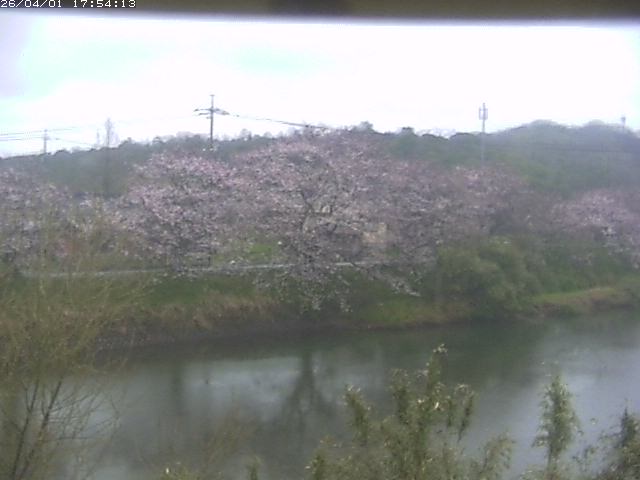 取得できませんでした