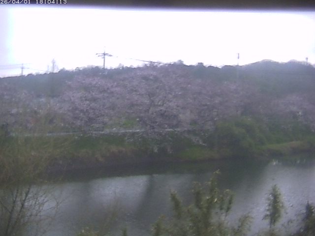 取得できませんでした