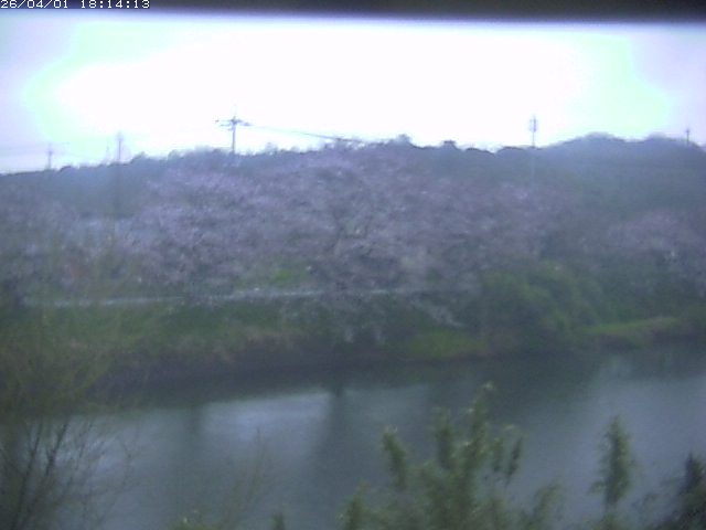 取得できませんでした