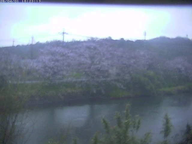 取得できませんでした