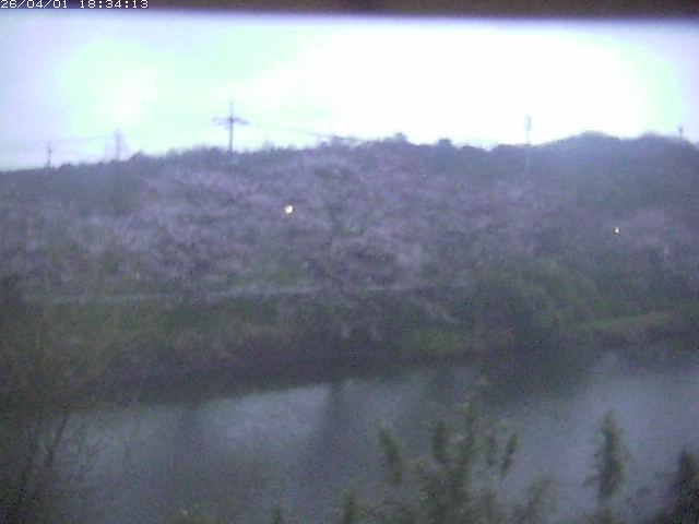 取得できませんでした