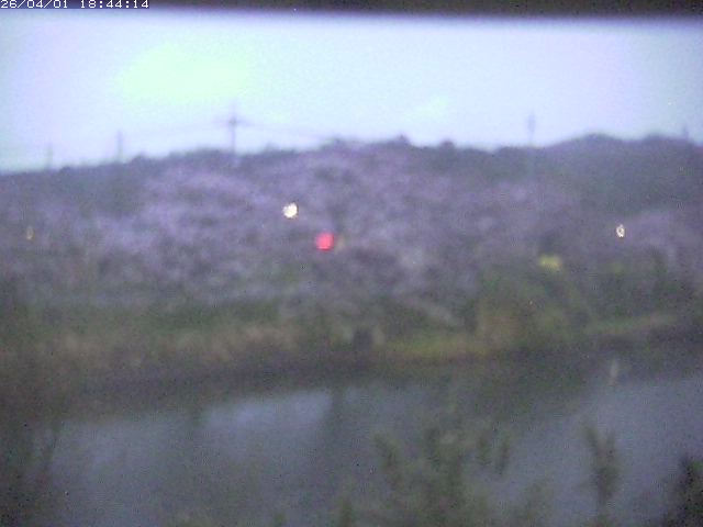 取得できませんでした