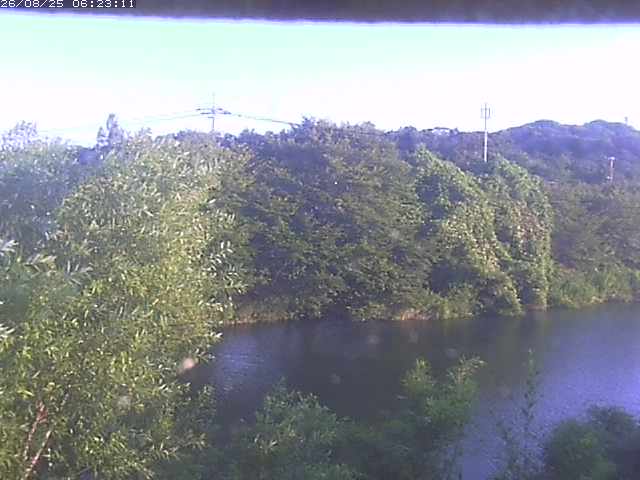 取得できませんでした