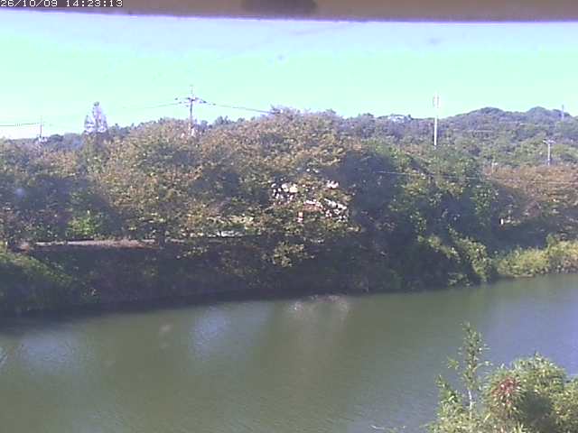 取得できませんでした