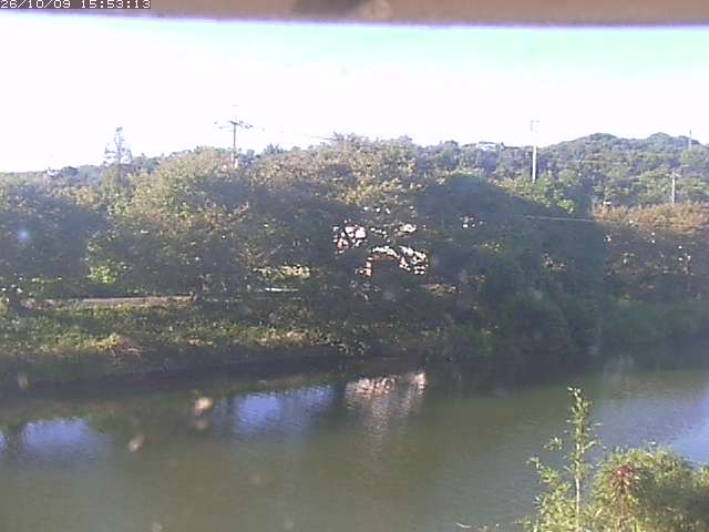 取得できませんでした