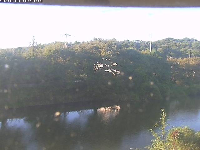 取得できませんでした